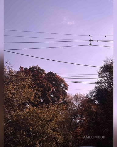AmeliMood Foto