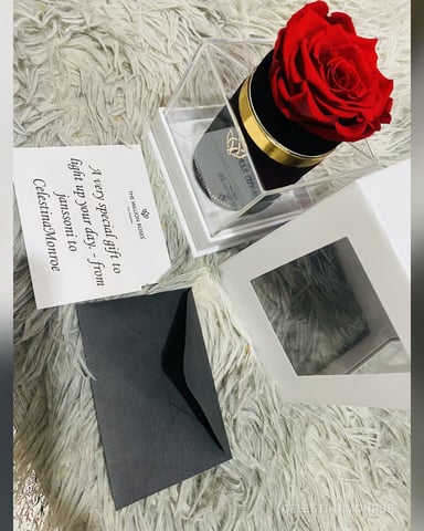 CelestinaMonroe, fotografie