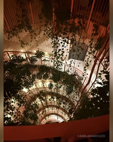 CamilaMarcuzzi photo