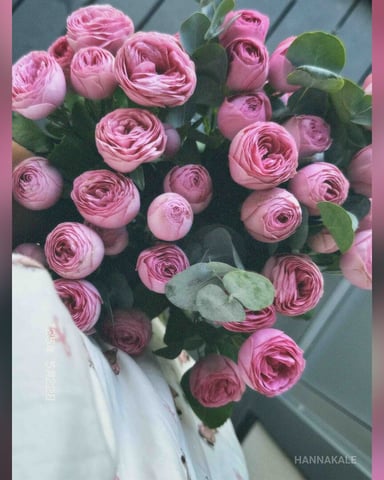 HannaKale Foto