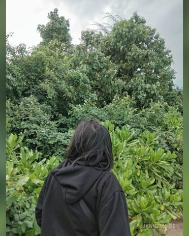 JanneMaine foto