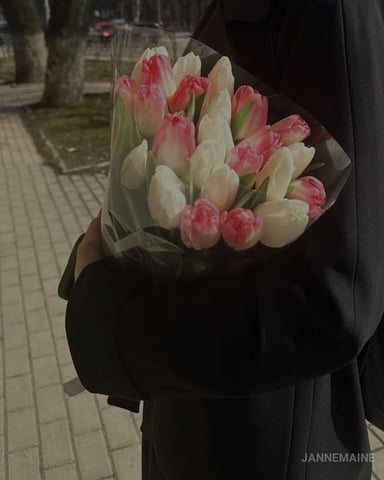 JanneMaine foto