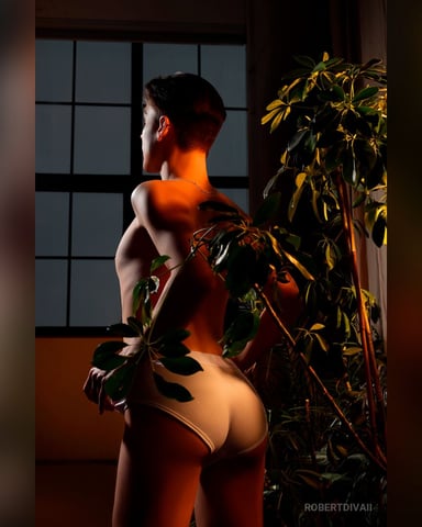 RobertDivaII Foto