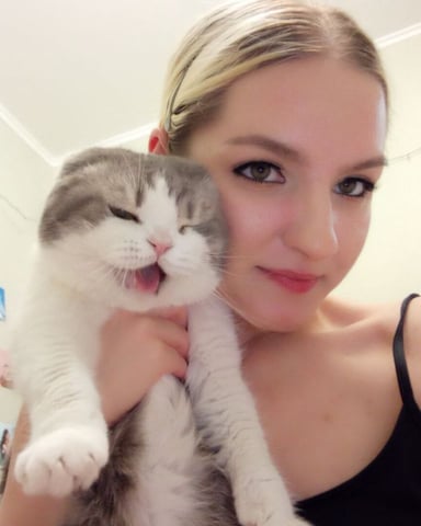 ViolaMore Foto