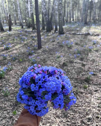 NicoleStein Foto