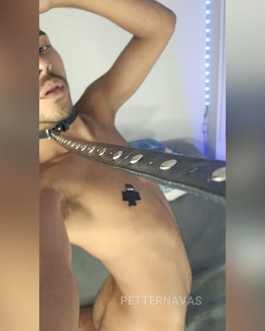 PetterNavas Foto