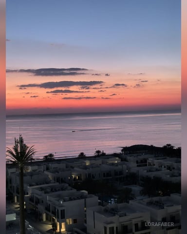 LoraFaber foto