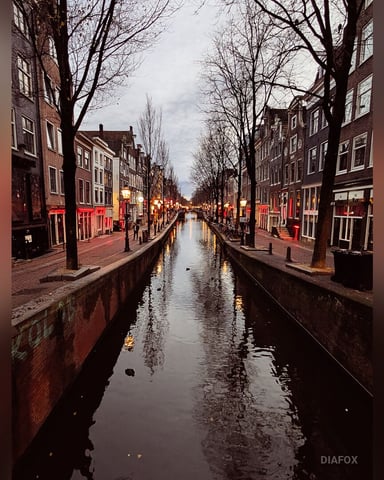 DiaFox, fotografie