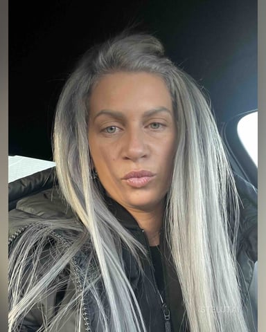 Stelutai foto