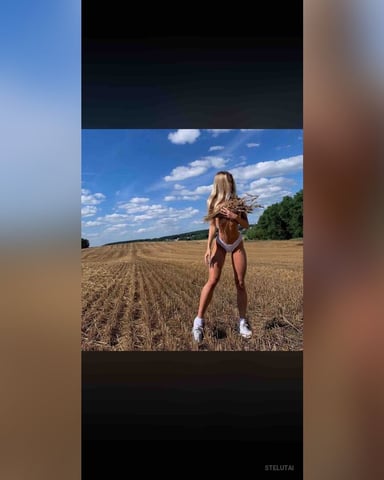 Stelutai foto
