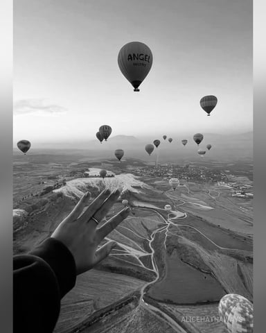 AliceHathaways photo
