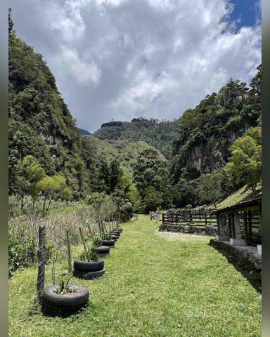 DaniaShada foto
