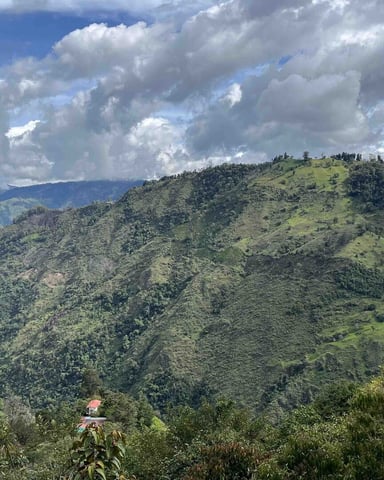 DaniaShada foto