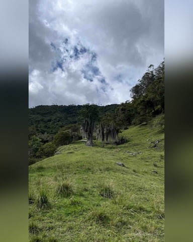 DaniaShada foto