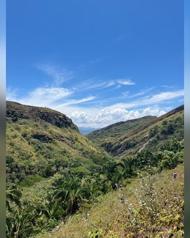 DaniaShada foto