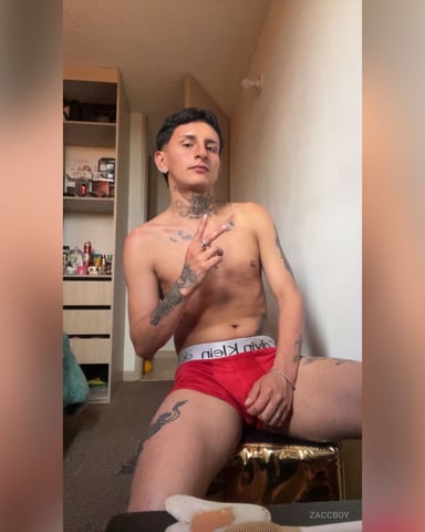 Zaccboy Foto