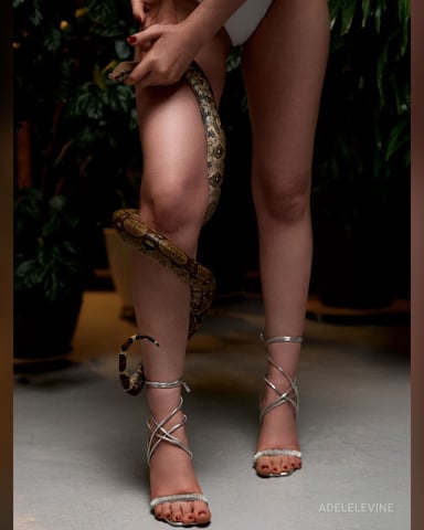 AdeleLevine photo
