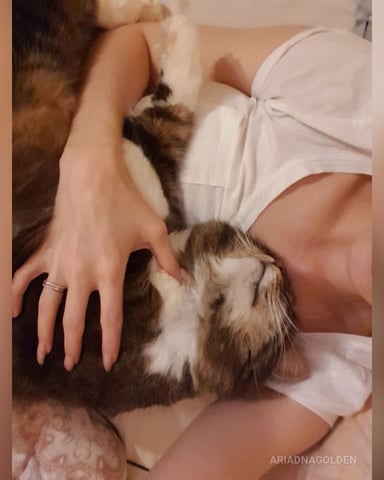 AriadnaGolden Foto