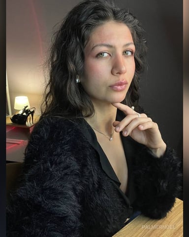 PalmerNoel, fotografie