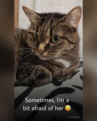 LanaBowie photo