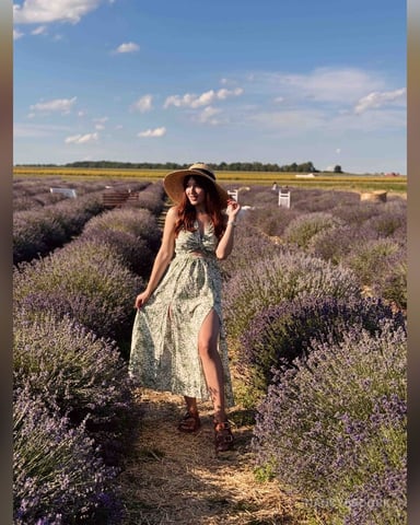 NancyBroock Foto