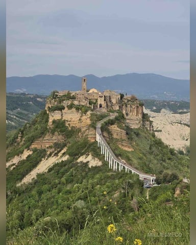 MillieGreco photo