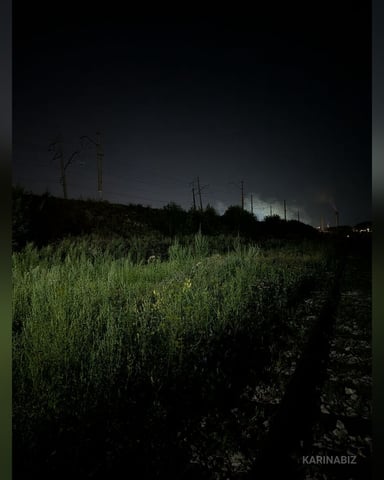 KarinaBiz Foto