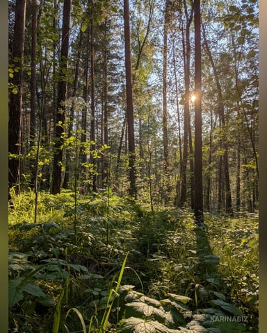 KarinaBiz Foto