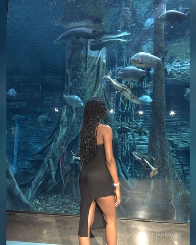DahianaRose foto