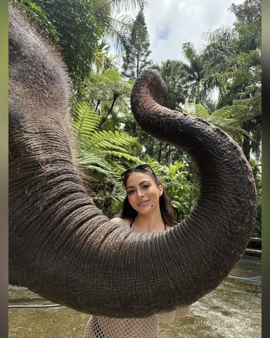 MoniqueeMinx foto
