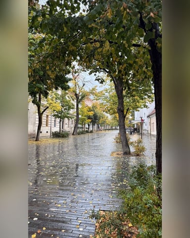 AngelinaKunis Foto