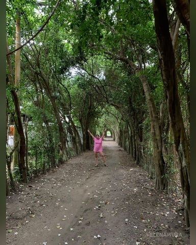 ElenaWura foto