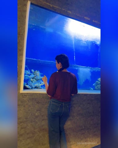 NiharikaRawat photo 7