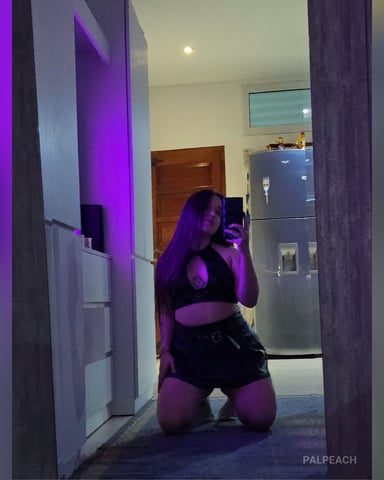 PalPeach photo