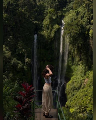 EvaOwl foto 4