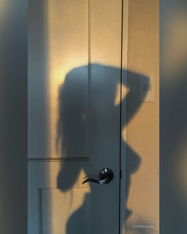BambiGuin, fotografie