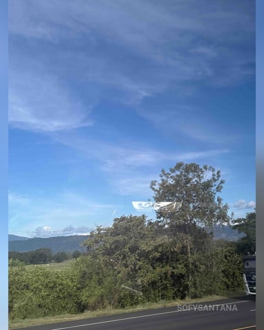 Sofysantana foto