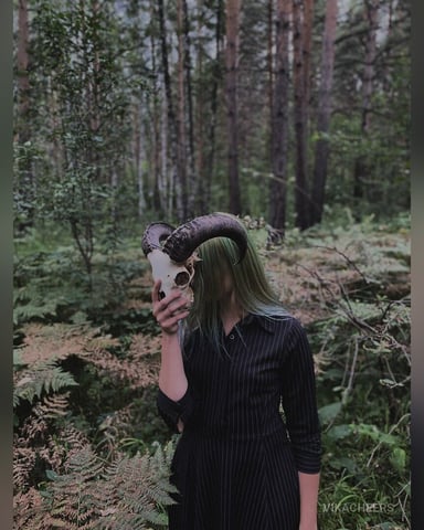 VikaCheers photo