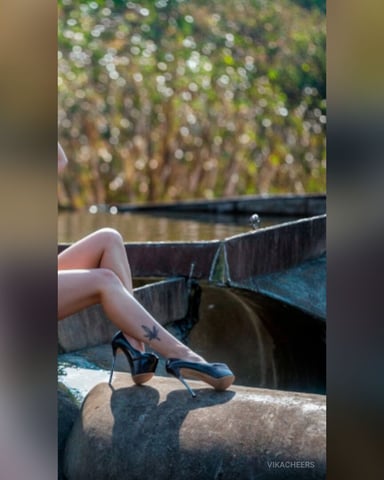 VikaCheers photo