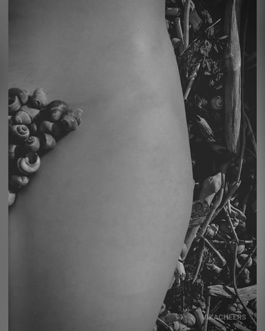VikaCheers photo
