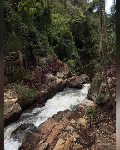 ElieSun Foto