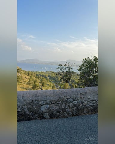 Violeta foto