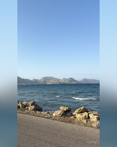 Violeta foto