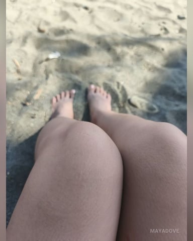 MayaDove foto