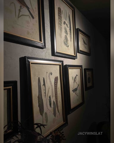JacyWinslat photo 32
