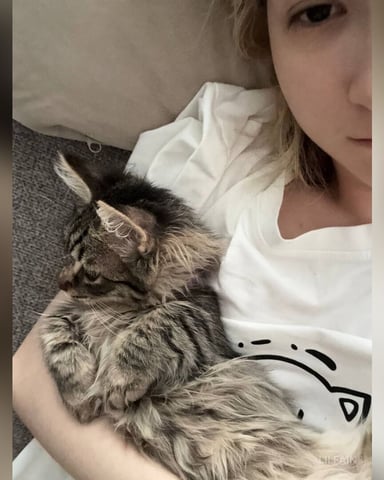 Lilfain Foto