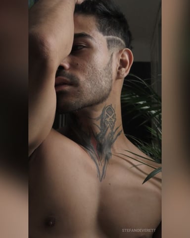 StefanoEverett foto