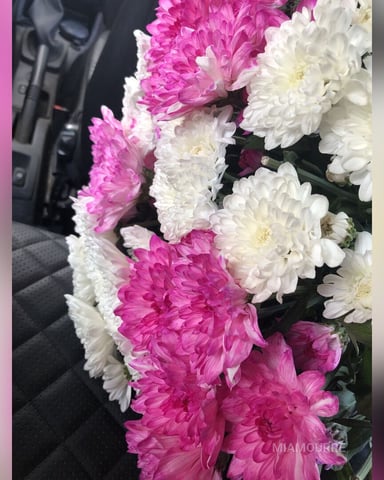 MiaMourre photo