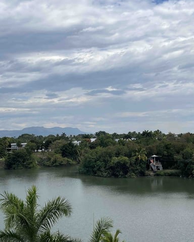 ZhenMelan photo