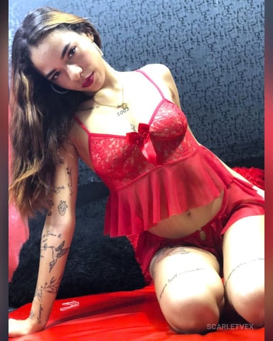 ScarletVex foto